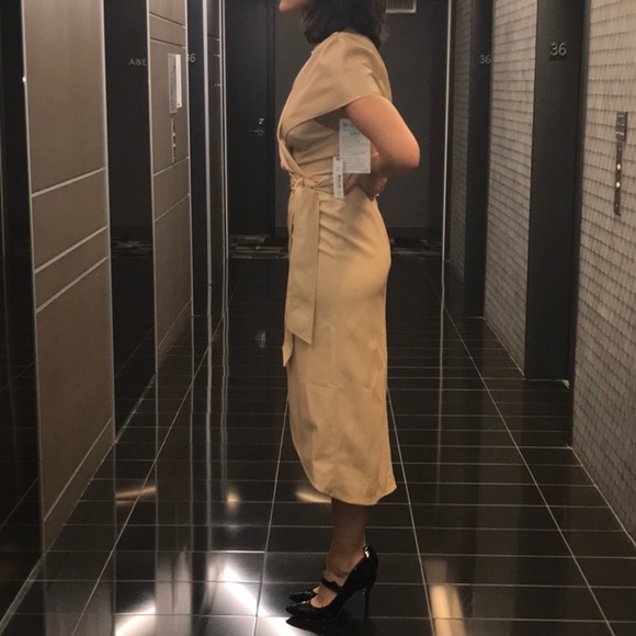 NWT❤️Alice +Olivia Vegan midi dress - Picture 12 of 15